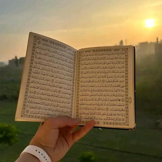 القرآن الكريم
