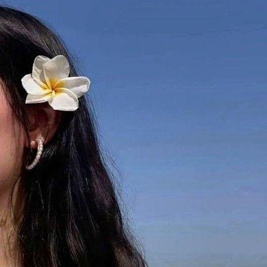 Aya Aya