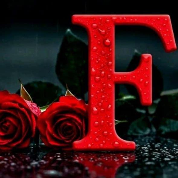 Feri Fer