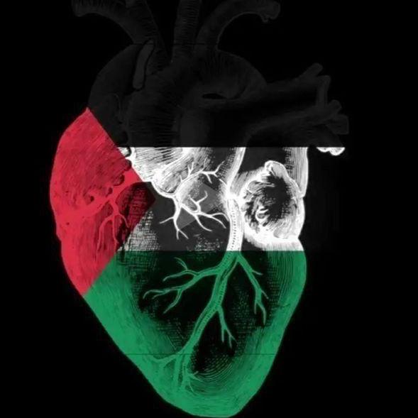 الجزائريين