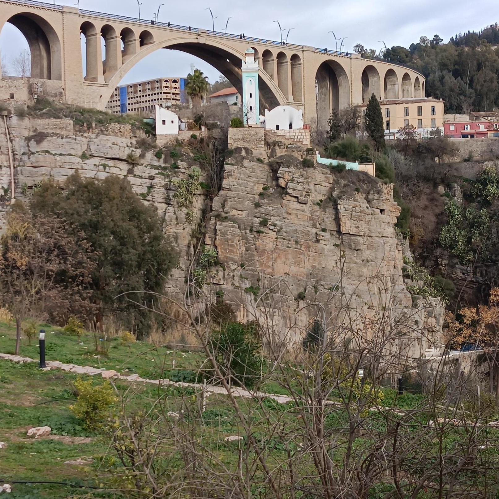 Mejde Joud