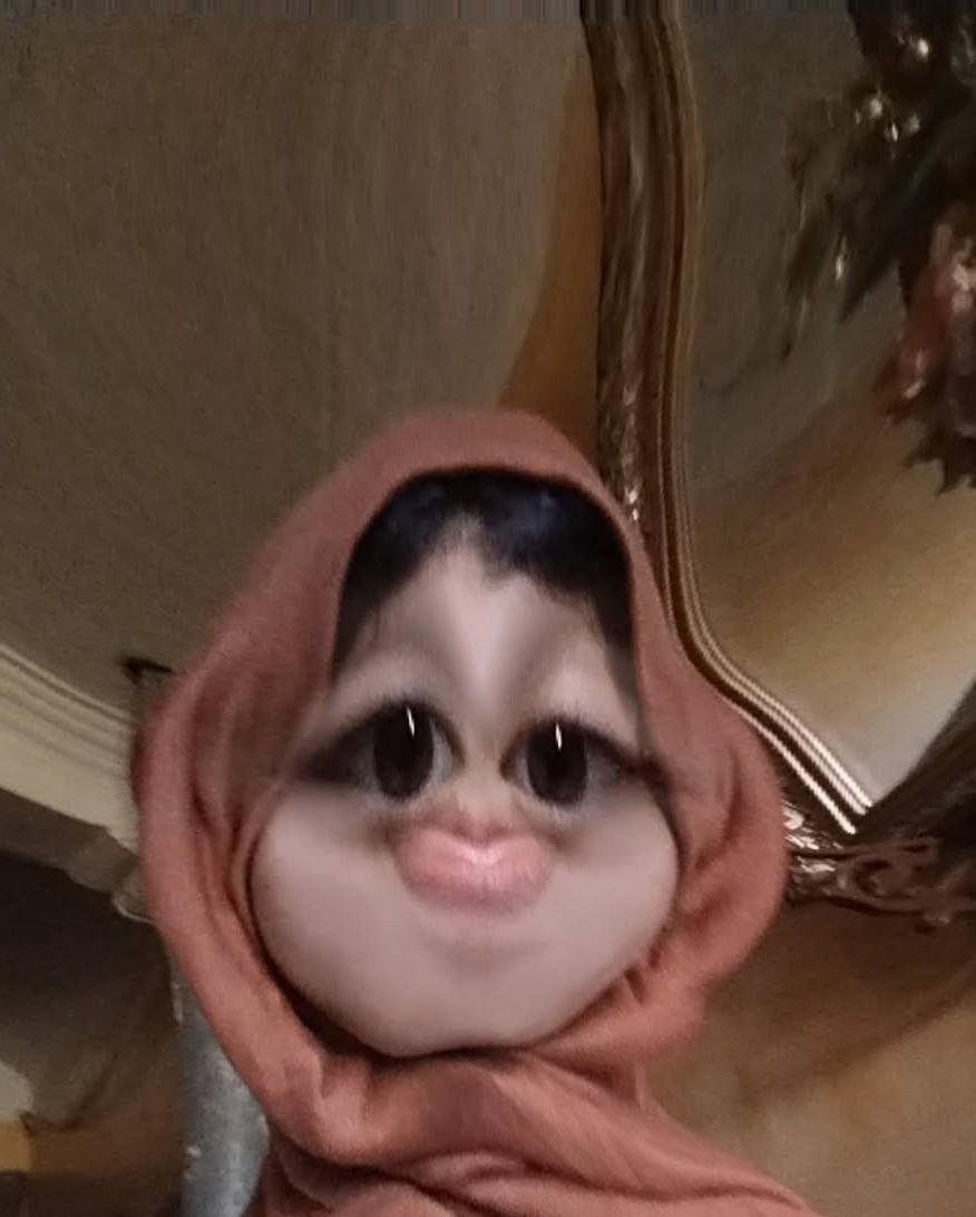 Safa Safsofa