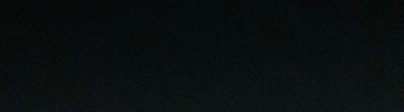 سوسن سوسن