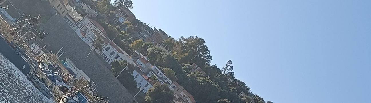 Tacatua 23. DZ